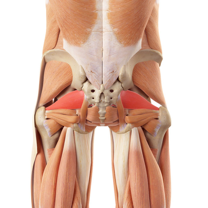 Piriformis Release