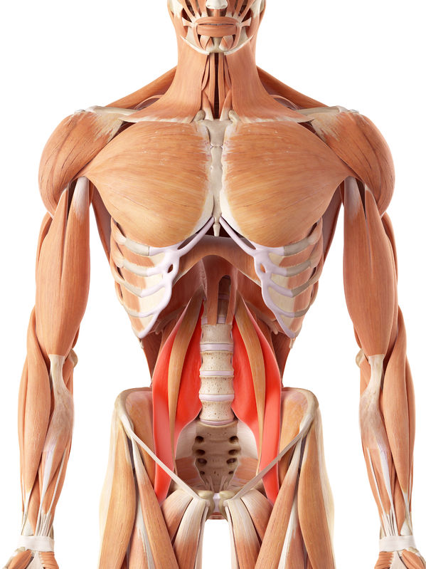 Psoas Muscle